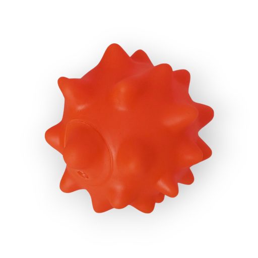 Tüskés kutya labda