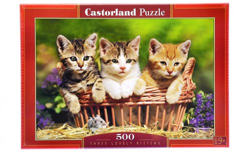 Castorland Puzzle 500 Db-Os Vegyes