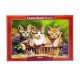 Castorland Puzzle 500 Db-Os Vegyes