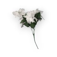 Karácsonyi virág fehér