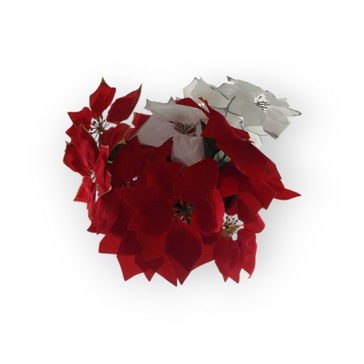 Mikulásvirág Több Színben 55Cm 