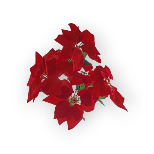 Mikulásvirág Több Színben 55Cm 