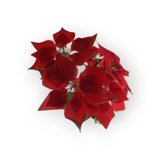 Mikulásvirág Több Színben 55Cm 