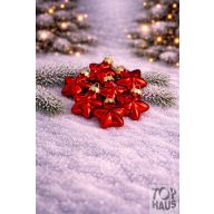 Csillag üveg dísz 030462