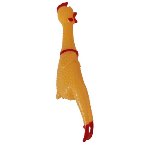 Sikoltó csirke közepes