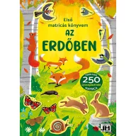 Az első matricázásom  Az erdőben