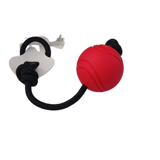 Köteles labda játék