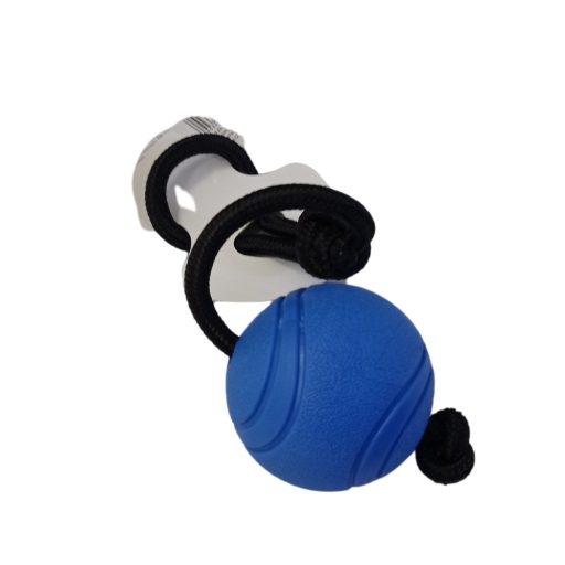 Köteles labda játék