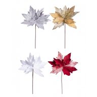 Mikulás virág bogyókkal