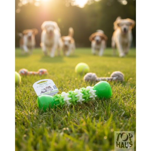 Játék bot kutyáknak