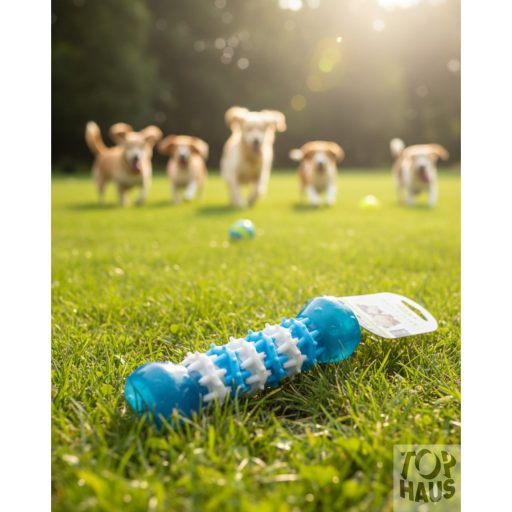 Játék bot kutyáknak