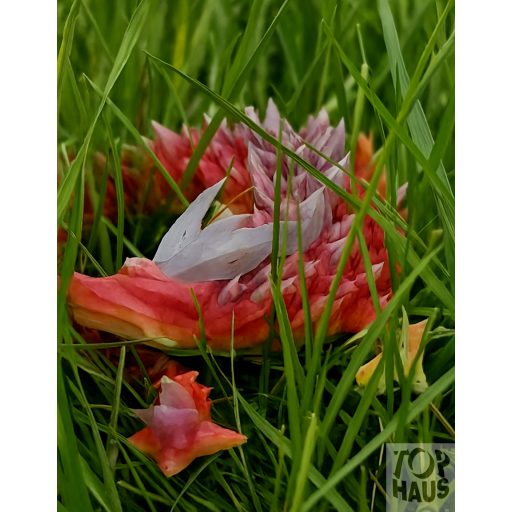 Játéksárkány 30 cm