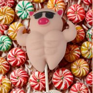 Homokkal töltött izmos malac