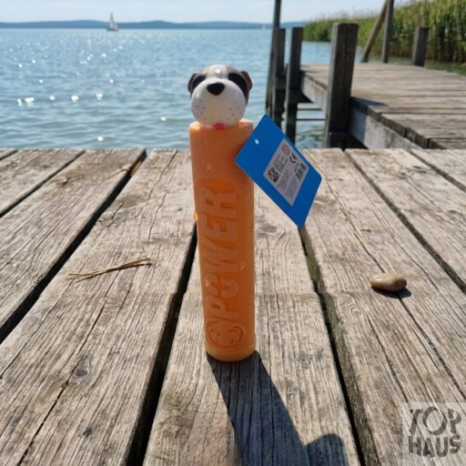 Állatfejes vizipuska