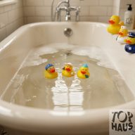 Kacsa 3 db hálóban