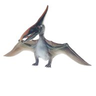 Pteranodon Őslény Játék