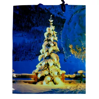 Ajándéktasak kicsi