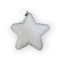 Hópelyhes csillag dísz s/4